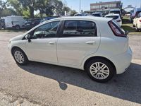 Usata Fiat Punto Lounge 77 CV (56 kW) 2014 Bianco Utilitaria
