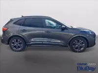 Usata Ford Kuga ST-Line 150 CV (110 kW) 2023 Magnetic grey SUV