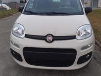 Usata Fiat Panda 85 CV (62 kW) 2013 Utilitaria