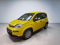 Usata Fiat Panda S 69 CV (50 kW) 2024 Giallo Utilitaria