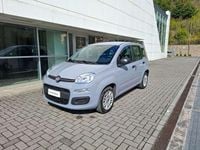 Usata Fiat Panda Easy 69 CV (50 kW) 2020 Grigio Utilitaria