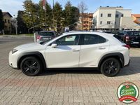 usata Lexus UX UX 250hHybrid 4WD Business