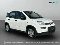 Usata Fiat Panda S 69 CV (50 kW) 2025 0q bianco puro Utilitaria