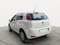 Usata Fiat Punto Lounge 77 CV (56 kW) 2016 Bianco Berlina