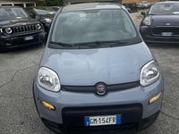 Usata Fiat Panda S 69 CV (50 kW) 2023 Grigio Utilitaria