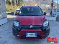 usata Fiat Panda Cross 1.0 FireFly S&S Hybrid