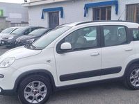 Usata Fiat Panda 4x4 S 75 CV (55 kW) 2013 Other Utilitaria