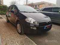 usata Fiat Punto 1.4 8V 5 porte Lounge Neopatentati Unic