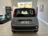 Usata Fiat Panda Easy 69 CV (50 kW) 2019 Grigio Utilitaria