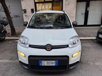 Usata Fiat Panda City Life 70 CV (51 kW) 2022 Bianco Utilitaria