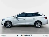 Usata Seat Leon Business 110 CV (80 kW) 2022 Bianco Station wagon