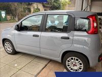 Usata Fiat Panda S 69 CV (50 kW) 2022 Grigio Berlina