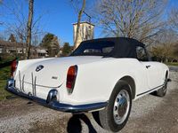 Usata Alfa Romeo Giulia Spider 92 CV (67 kW) 1964 Bianco Cabrio