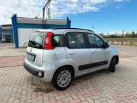 Usata Fiat Panda 2012 Utilitaria