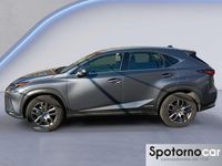 Usata Lexus NX300h Business Edition 197 CV (144 kW) 2020 Grigio SUV