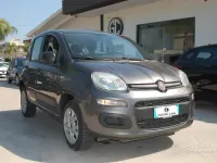 Usata Fiat Panda Easy 80 CV (58 kW) 2017 Grigio Utilitaria