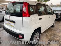 Usata Fiat Panda Easy Plus 69 CV (50 kW) 2020 Bianco Utilitaria