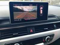 Usata Audi RS4 Exclusive 450 CV (330 kW) 2019 Verde Station wagon