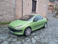 Usata Peugeot 206 109 CV (80 kW) 2001 Verde Cabrio