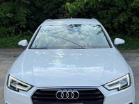 Usata Audi A4 Business 150 CV (110 kW) 2019 Bianco Station wagon
