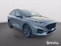 Usata Ford Kuga ST-Line 224 CV (164 kW) 2021 Grigio SUV