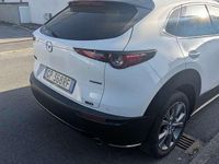Usata Mazda CX-30 Exceed 150 CV (110 kW) 2023 SUV