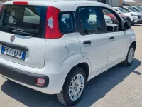 Usata Fiat Panda 69 CV (50 kW) 2019 Bianco Utilitaria