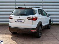 Usata Ford Ecosport Active 125 CV (91 kW) 2023 Other SUV