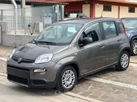 Usata Fiat Panda S 71 CV (52 kW) 2024 Gray Utilitaria