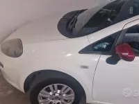 Usata Fiat Punto 65 CV (47 kW) 2012 Bianco Utilitaria