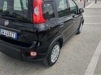 Usata Fiat Panda S 69 CV (50 kW) 2024 Utilitaria