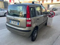 Usata Fiat Panda 69 CV (50 kW) 2012 Oro Utilitaria