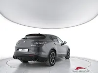Käytetty Alfa Romeo Stelvio Veloce 210 HP (154 kW) 2025 Harmaa Katumaasturi