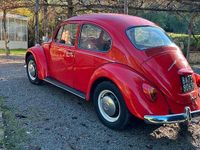 Usata VW Beetle 1950 Rosso Utilitaria