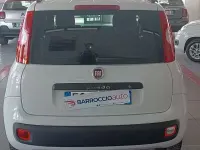 Usata Fiat Panda Easy 69 CV (50 kW) 2018 Bianco Utilitaria