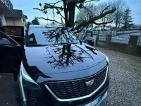 Usata Cadillac XT4 230 CV (169 kW) 2022 Nero SUV