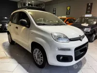 Usata Fiat Panda Easy 69 CV (50 kW) 2015 Bianco Utilitaria
