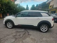 Usata Citroën C4 Cactus 102 CV (75 kW) 2020 Bianco Utilitaria