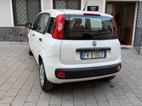 Usata Fiat Panda Easy 69 CV (50 kW) 2019 Bianco Berlina