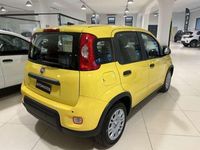 Usata Fiat Panda S 69 CV (50 kW) 2024 Giallo Utilitaria
