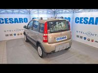 Usata Fiat Panda 4x4 Climbing 69 CV (50 kW) 2010 Beige spumeggiante (metallizza Utilitaria