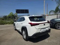 Usata Lexus UX Business Edition 152 CV (111 kW) 2020 Bianco pastello SUV