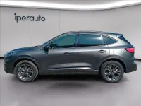 Usata Ford Kuga ST-Line X 225 CV (165 kW) 2023 Grigio s. SUV