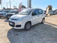 Usata Fiat Panda Easy 69 CV (50 kW) 2020 Bianco Utilitaria
