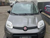 Usata Fiat Panda City Life 69 CV (50 kW) 2022 Grigio Berlina