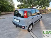 Usata Fiat Panda 69 CV (50 kW) 2020 Grigio Utilitaria