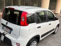 Usata Fiat Panda City Life 69 CV (50 kW) 2021 Other Utilitaria