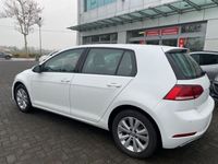 usata VW Golf VII 1.6 TDI 115 CV 5p. Executive BlueMotion Technology