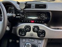 Usata Fiat Panda 4x4 75 CV (55 kW) 2014 Utilitaria