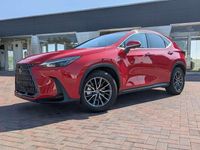 Usata Lexus NX350h Business Edition 190 CV (139 kW) 2024 Rosso SUV
